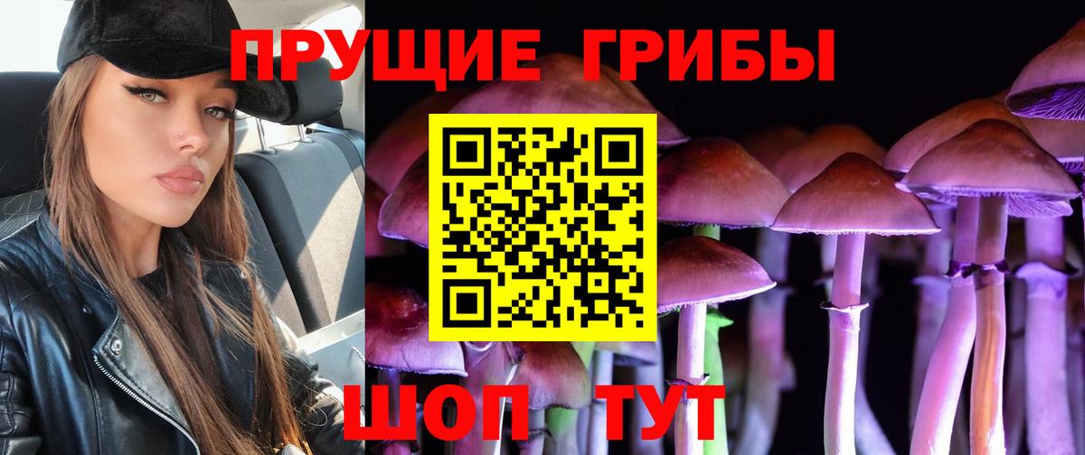 Галлюциногенные грибы Psilocybine cubensis  Вход с VPN  Владикавказ  Псилоцибиновые грибы GOLDEN TEACHER 